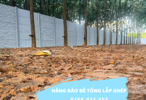 Lưu Ý Quan Trọng Khi Chọn Đơn Vị Thi Công Hàng Rào Bê Tông