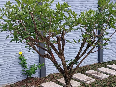 TƯỜNG RÀO 3D VÂN SÓNG - BIỆT THỰ TRẢNG BÀNG