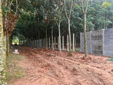 THI CÔNG TRỌN GÓI TƯỜNG RÀO PHỐI HỢP 3D VÀ TRƠN BÌNH DƯƠNG